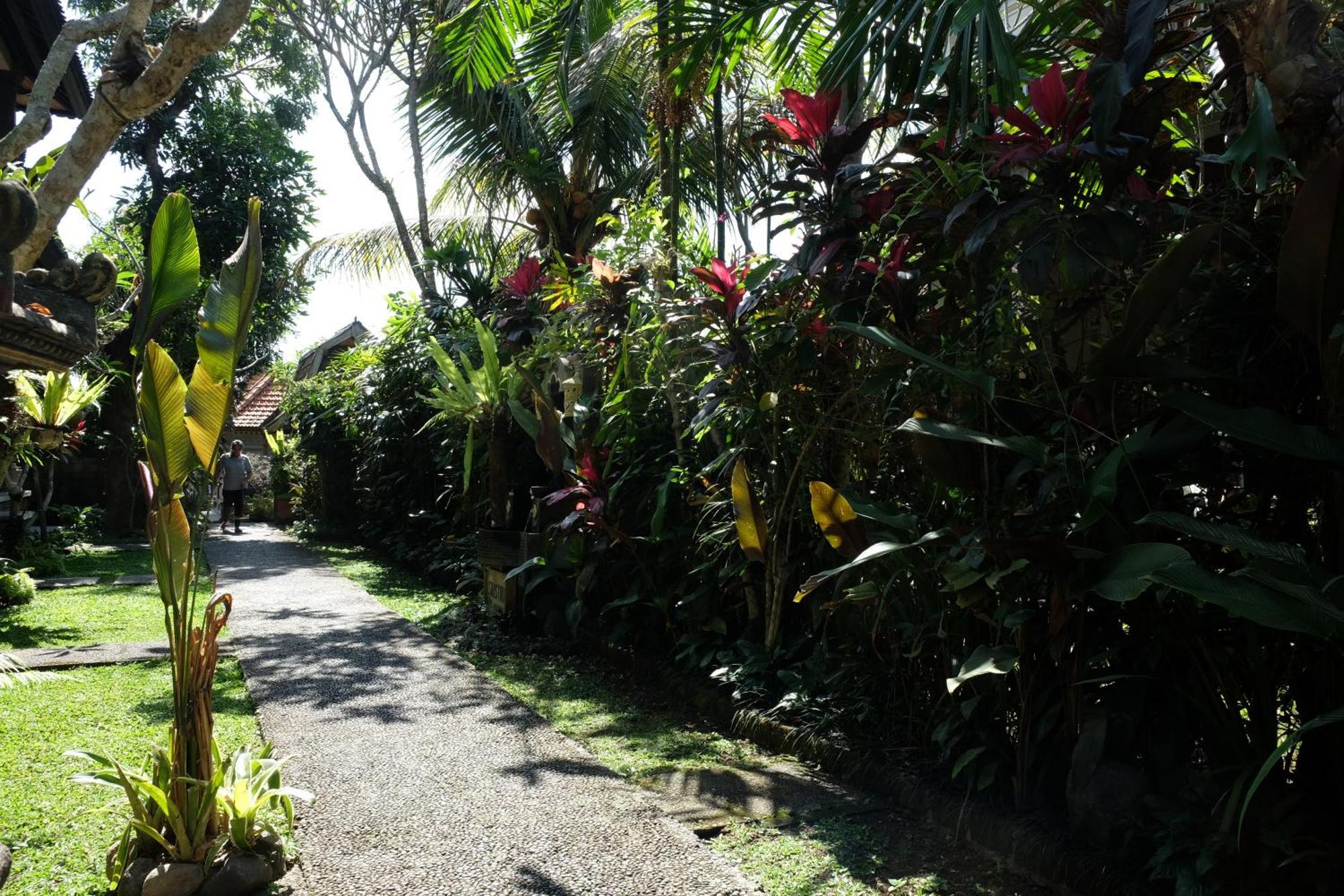 Suastika Guest House Ubud Екстериор снимка