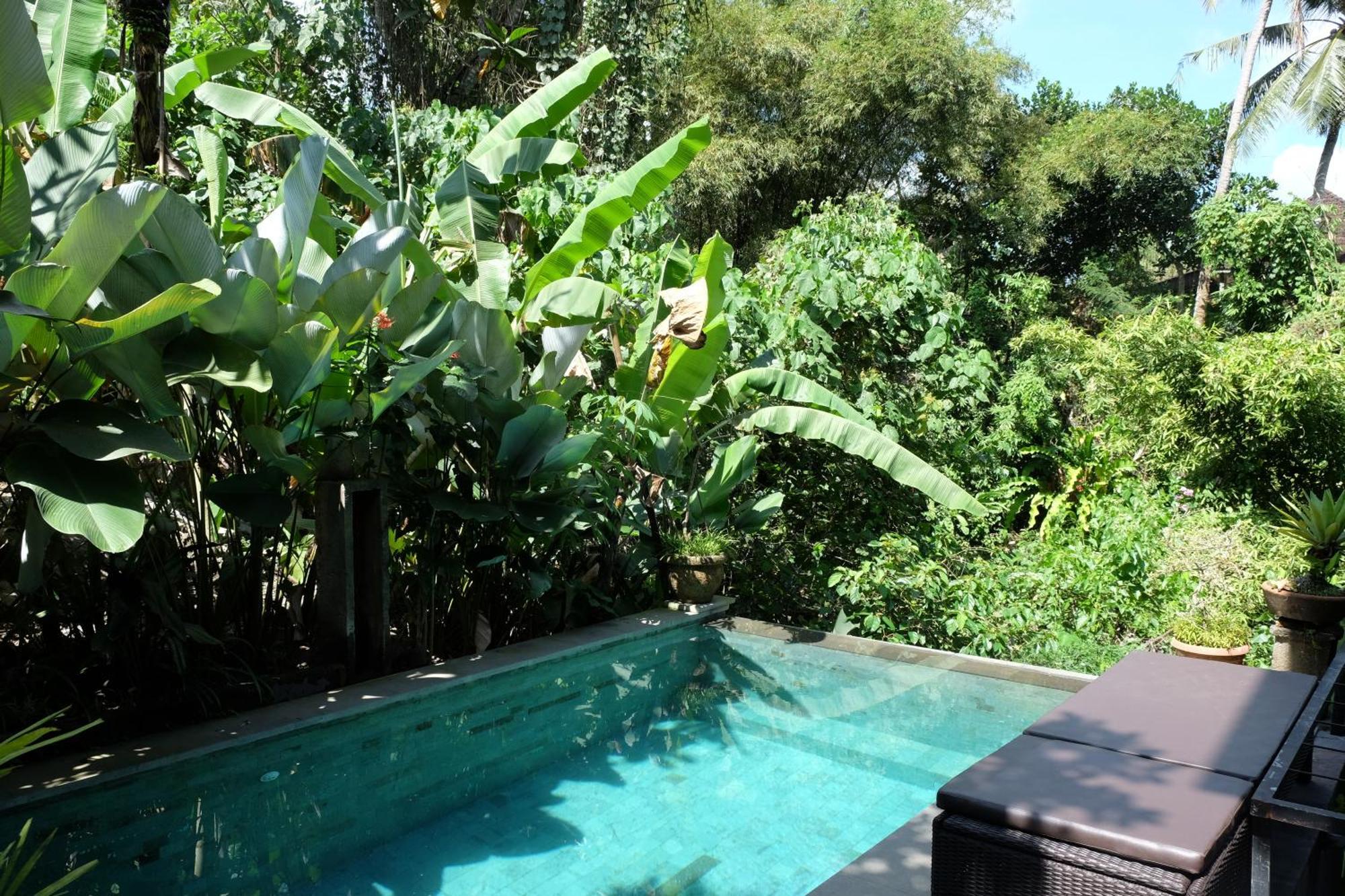 Suastika Guest House Ubud Екстериор снимка
